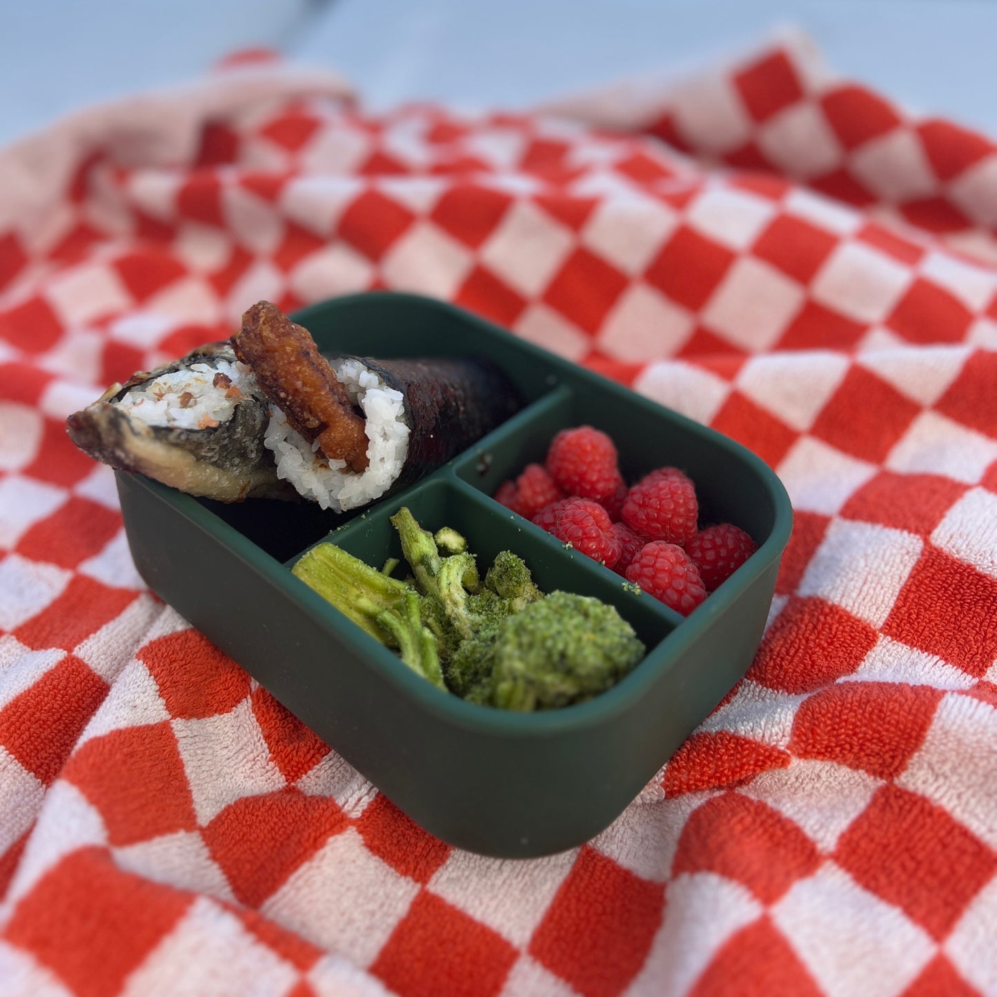 Snack Bento Box (Old style)