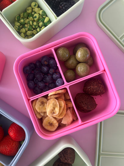 Quad Bento
