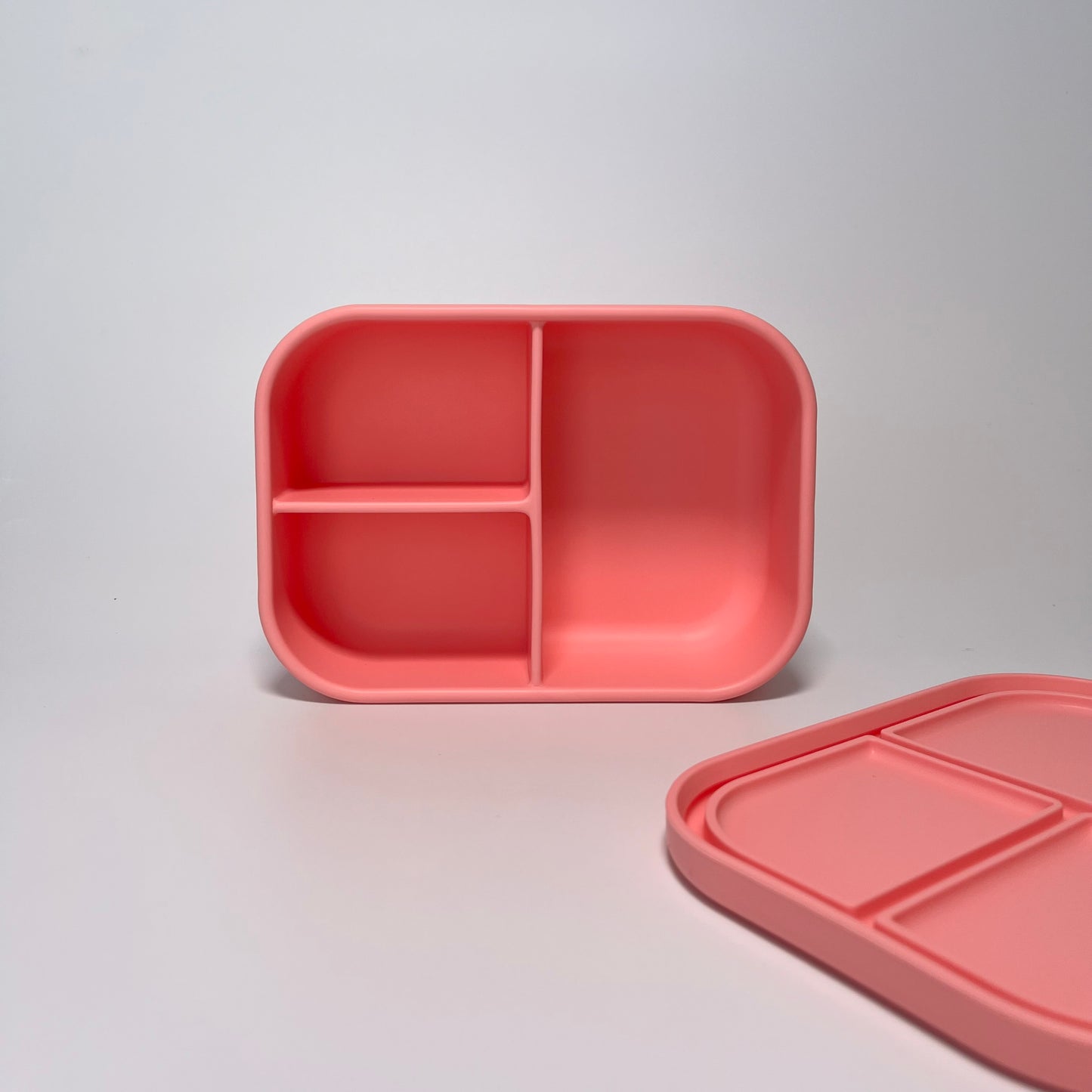 Snack Bento Box