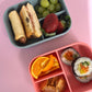 Snack Bento Box