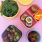 Snack Bento Bundle