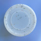 Large Round - Jelly